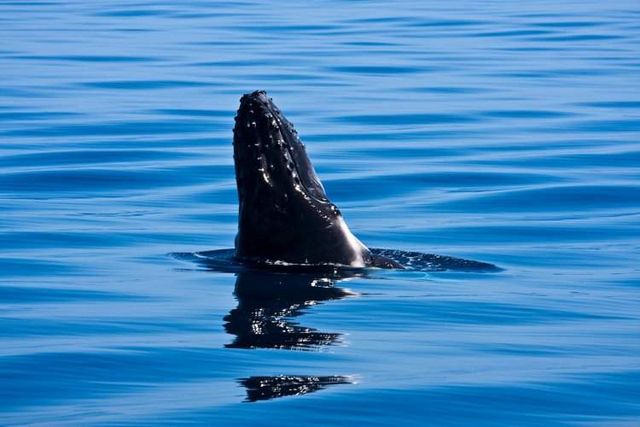 Так виглядає найбільший в світі піщаний острів- фото 251598