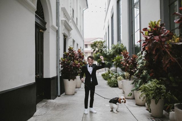 Найкращі весільні фотографії 2017 року - фото 248026