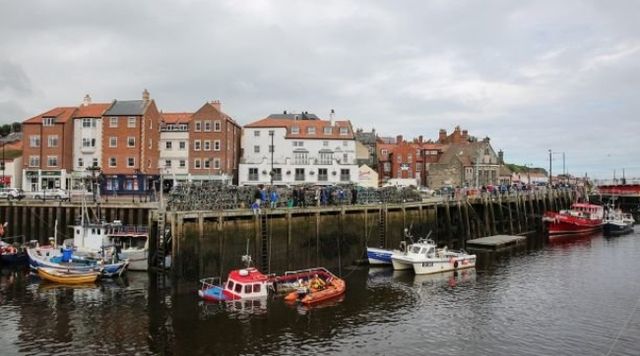 Рибалка показав моторошну сутичку зі стокілограмовою акулою- фото 248998