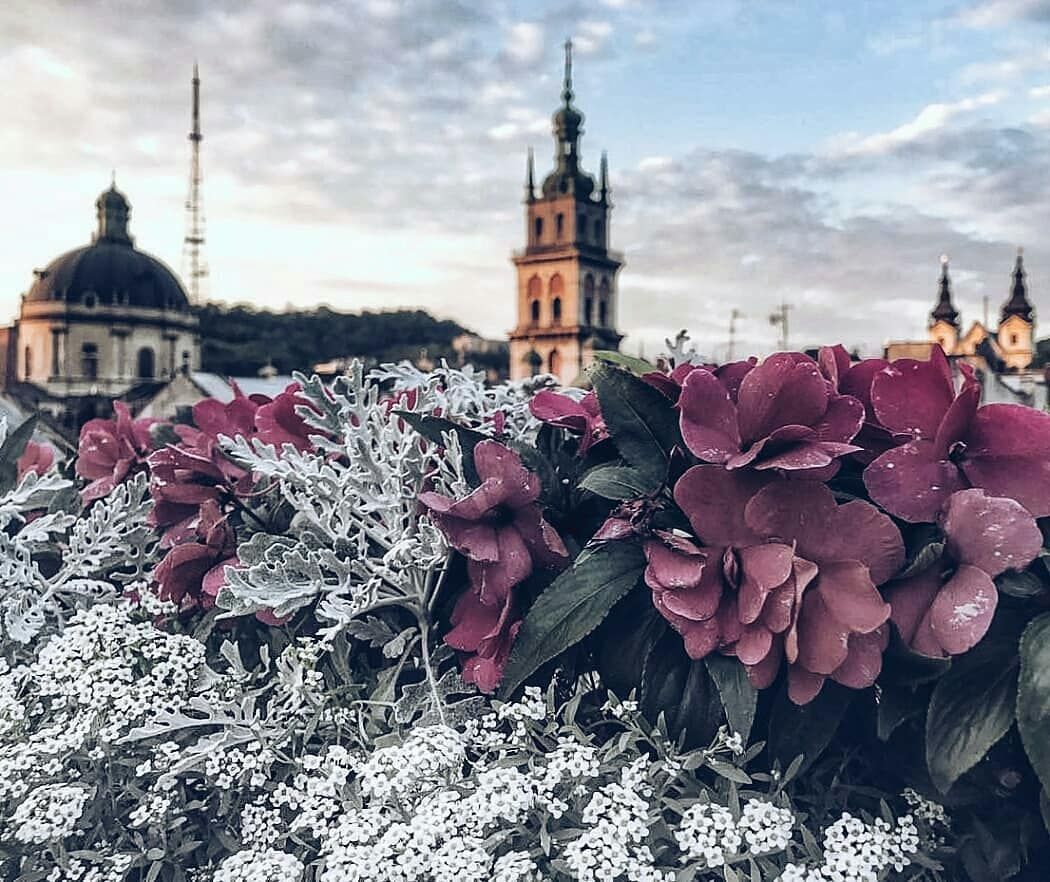 День міста Львова 2018: програма святкування