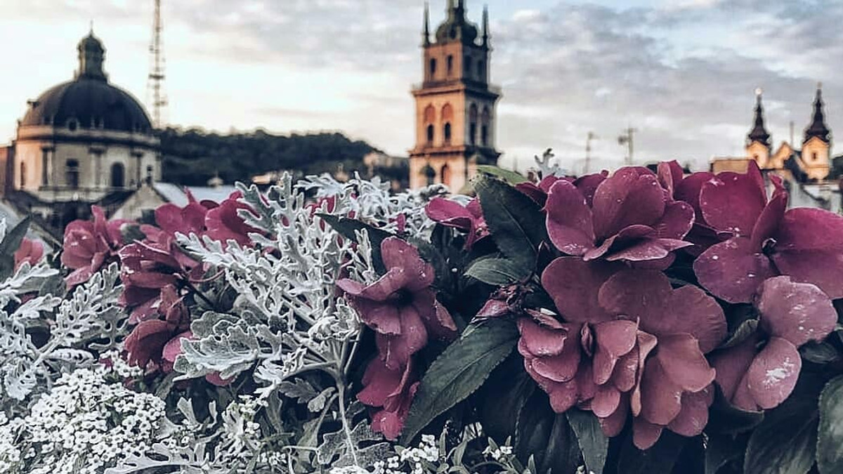 День міста Львова 2018: програма святкування - фото 1