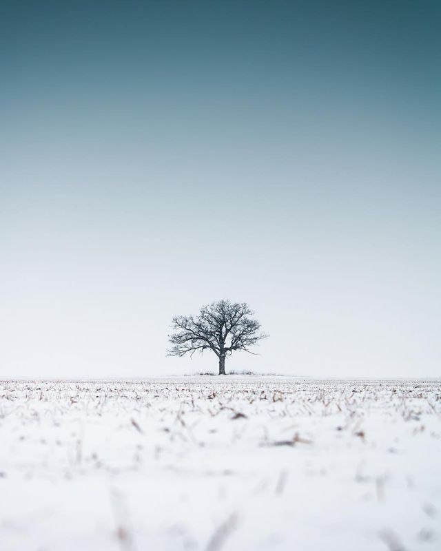 Подорожі та природи в об'єктиві талановитого фотографа - фото 248867