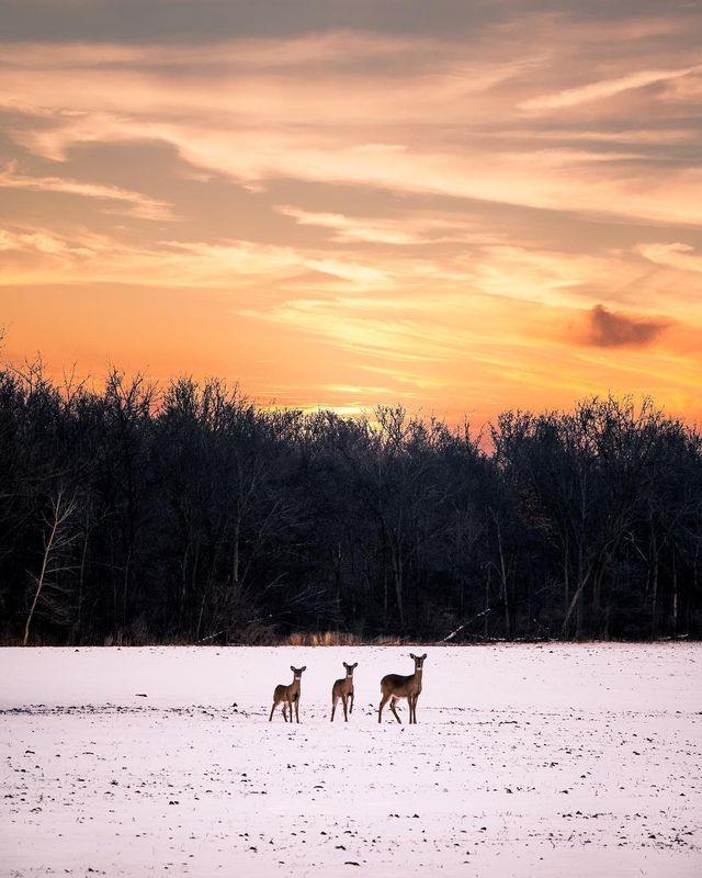 Подорожі та природи в об'єктиві талановитого фотографа - фото 248870