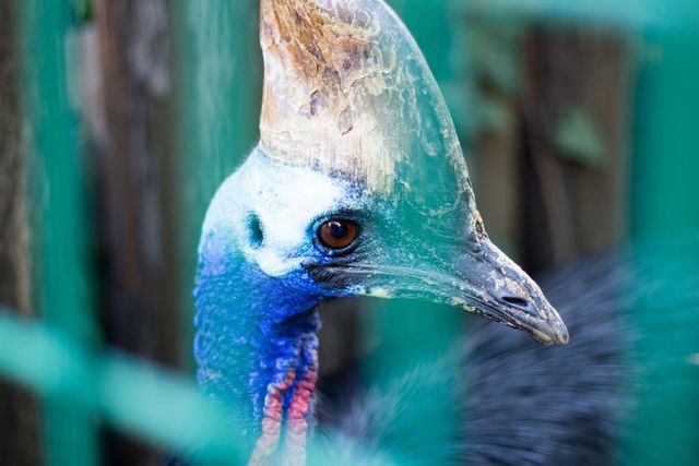 Фотограф зняв на камеру зоопарк у Будапешті - фото 244732