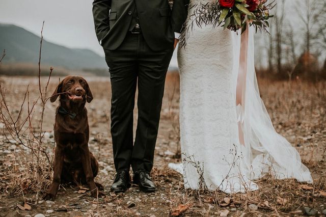 Найкращі весільні фотографії 2017 року - фото 248008