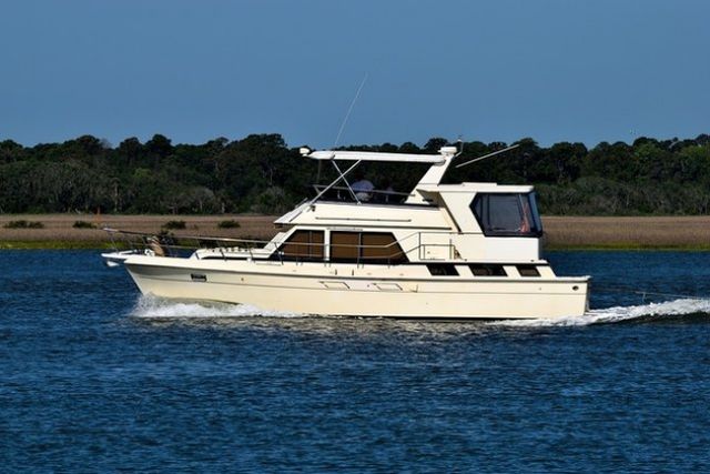 Рибалка показав моторошну сутичку зі стокілограмовою акулою- фото 249001