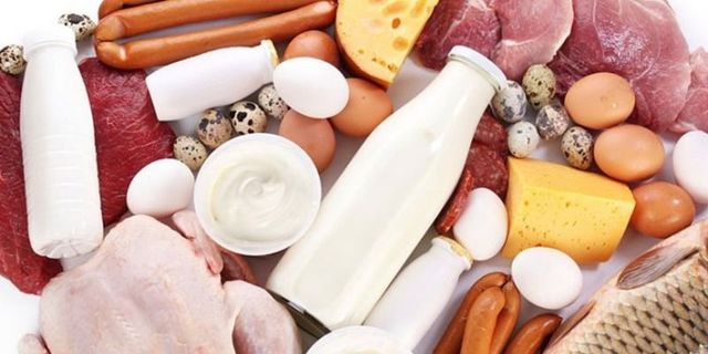 Білкова дієта - фото 251493