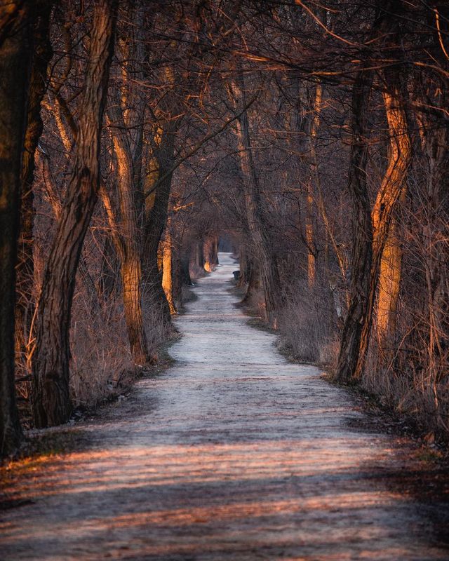 Подорожі та природи в об'єктиві талановитого фотографа - фото 248876