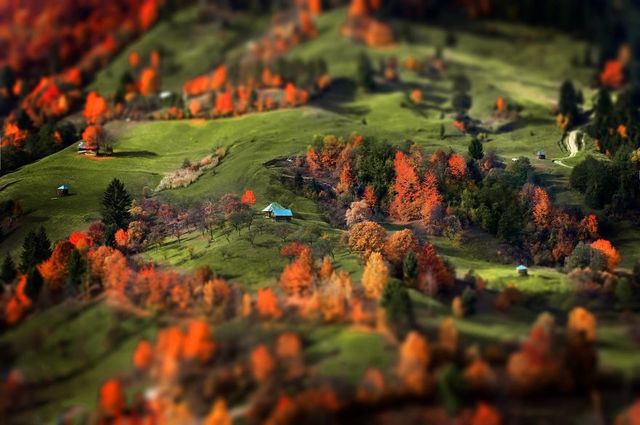 Фотограф 10 років мандрував Румунією: казкові кадри - фото 247882