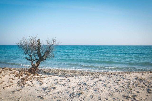 Так виглядає найбільший безлюдний острів України- фото 251031