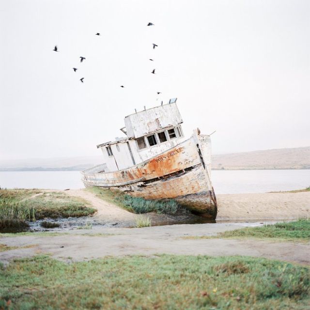 Мінімалістичні пейзажі Каліфорнії, від яких спокійно на душі - фото 245153