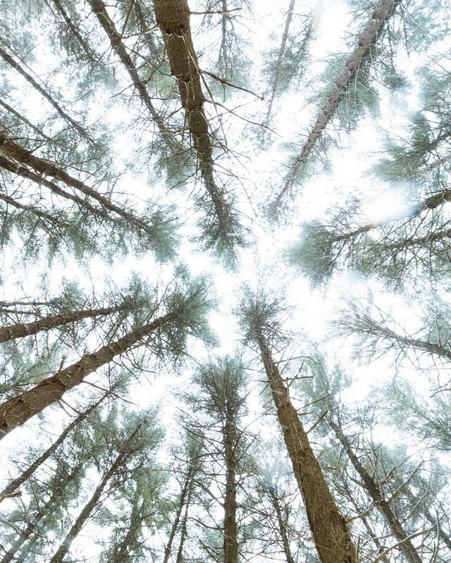 Подорожі та природи в об'єктиві талановитого фотографа - фото 248872