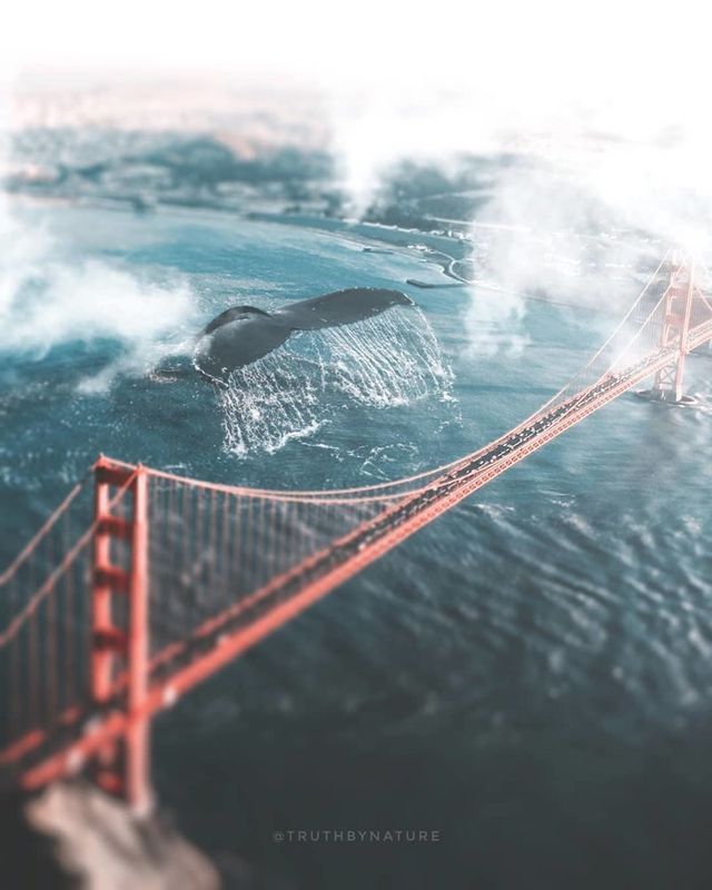 Світ у полоні величезних тварин: фантастичні кадри - фото 247432