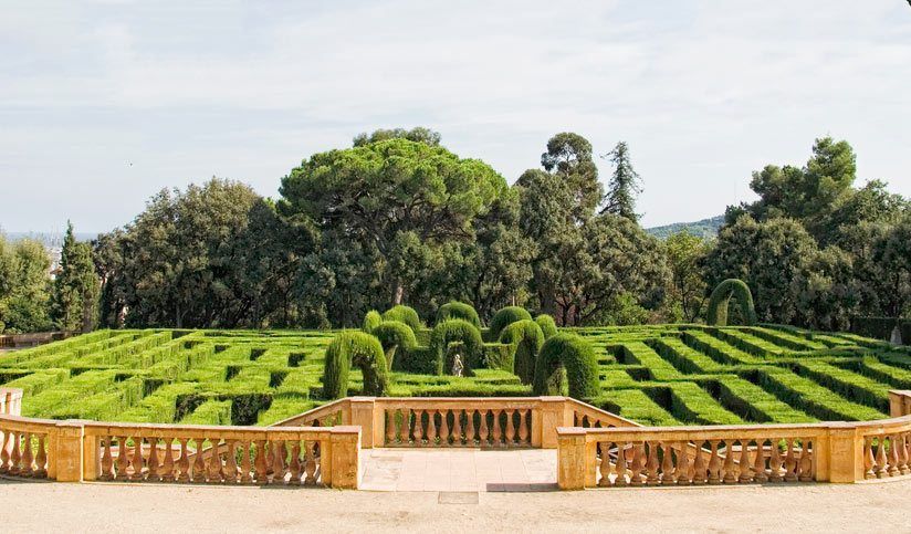 У парку Києва з'явився великий лабіринт - фото 1