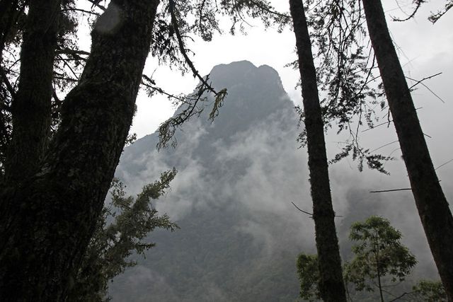 Фотограф показав шалено високі пальмові дерева у Колумбії - фото 245721