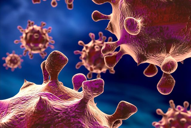 Як довго живуть бактерії та віруси у вашому домі - фото 255743