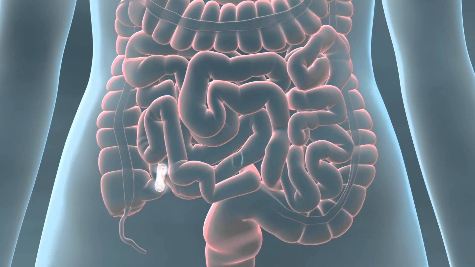 Вчені знайшли в тілі людини автономний другий мозок