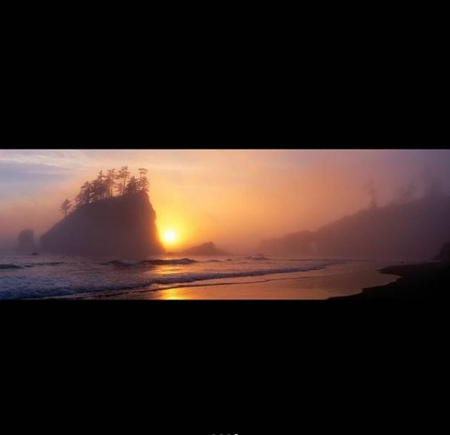 Національний парк Олімпік у США в полоні туману: казкові фото - фото 251912