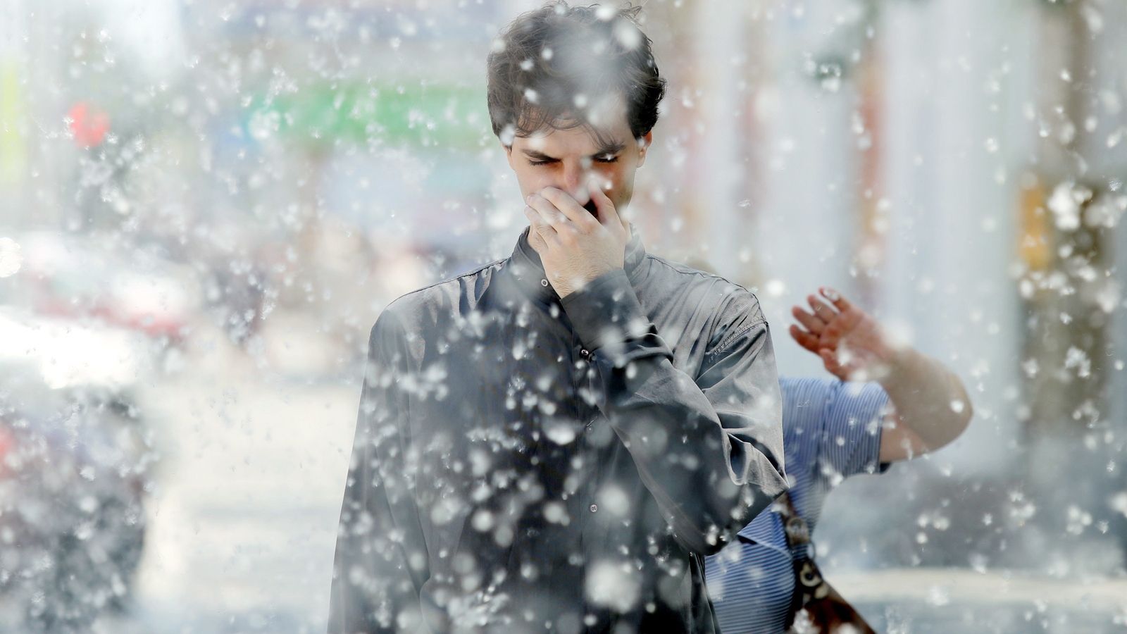 Тополиний пух: як врятуватися алергікам