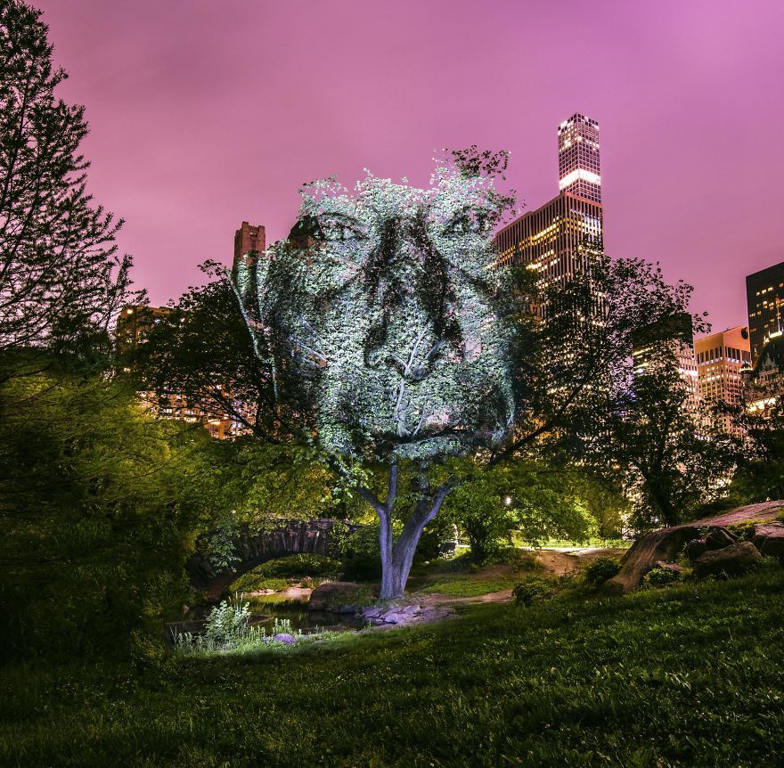 Художник створює неймовірні світлові портрети у Нью-Йорку