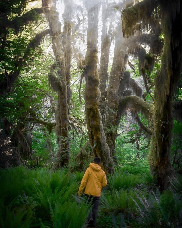 Неймовірний світ в об'єктиві мандрівника - фото 256890