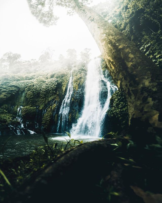 Талановитий фотограф показує свої пригоди світом - фото 254451