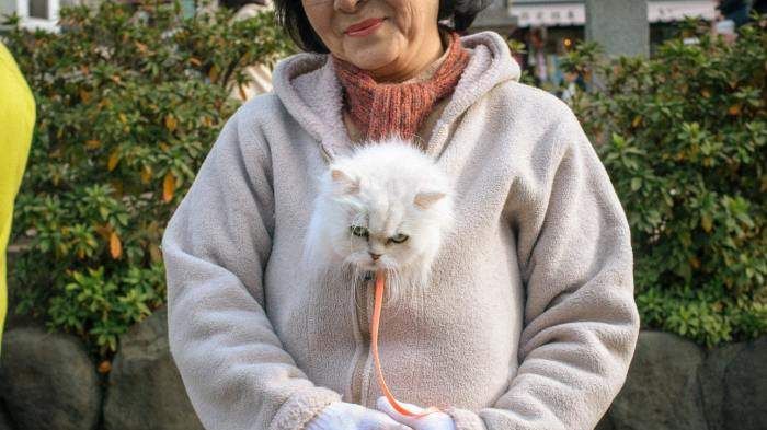 Дивні кадри з повсякденного життя японців