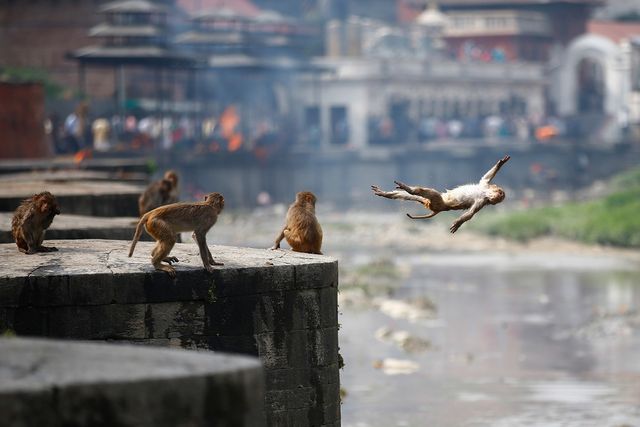 Святковий Непал, який вражає: неймовірні фото - фото 255867
