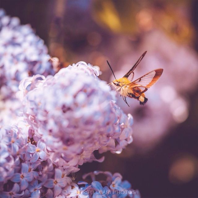 Чарівна природа з незвичайних ракурсів: атмосферні фото - фото 257123