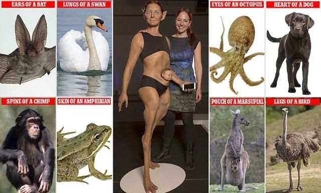 Що це? Створено модель ідеальної жінки майбутнього- фото 254783