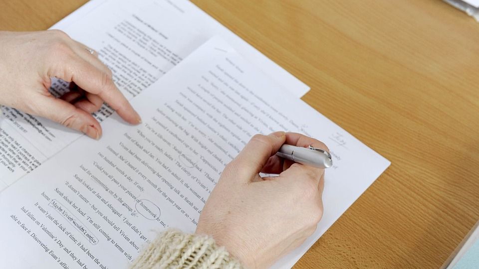 Курйозні висловлювання на ЗНО - фото 1