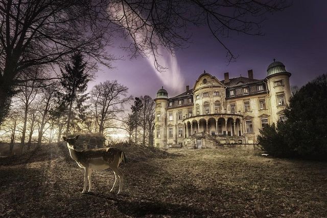 Фотограф показав закинуті місця Німеччини: незвичайні кадри - фото 257685