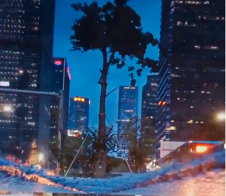 Ідеальне відображення: мережу підкорило незвичайне відео в калюжі