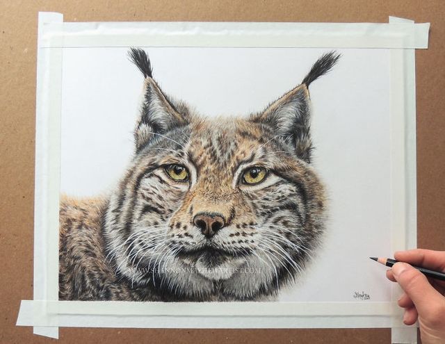 Художниця малює гіперреалістичних тварин, від яких перехоплює дух - фото 258635