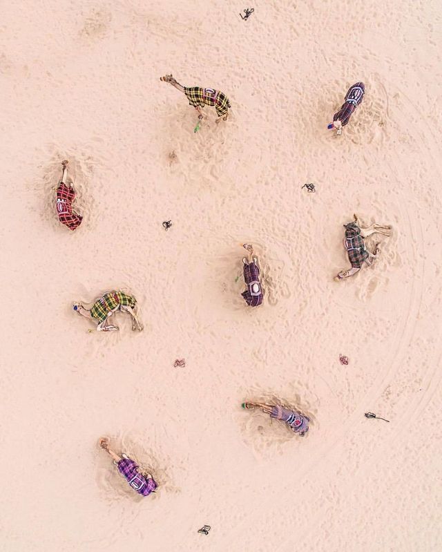 Як пустеля захоплює Дубай та Абу-Дабі: ефектні фото - фото 254131