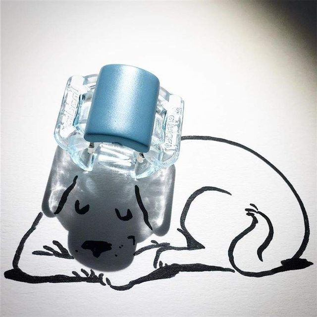 Неймовірні знімки, на яких тінь вирішує все- фото 254810