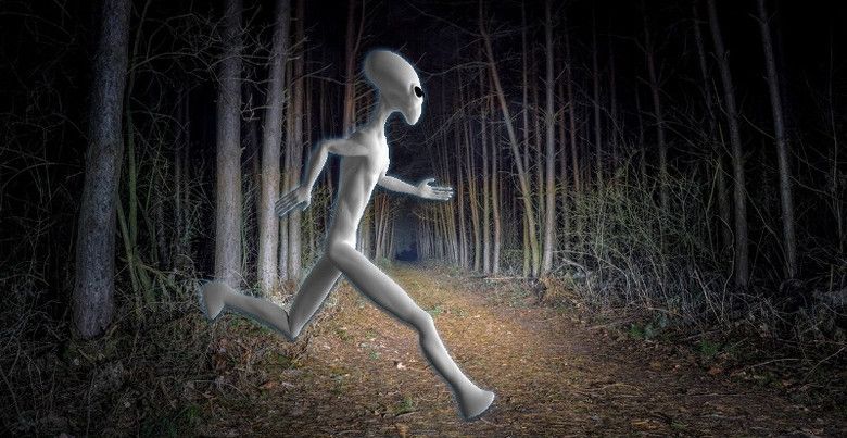 Дівчинка з США детально розповіла про зустріч з інопланетянином