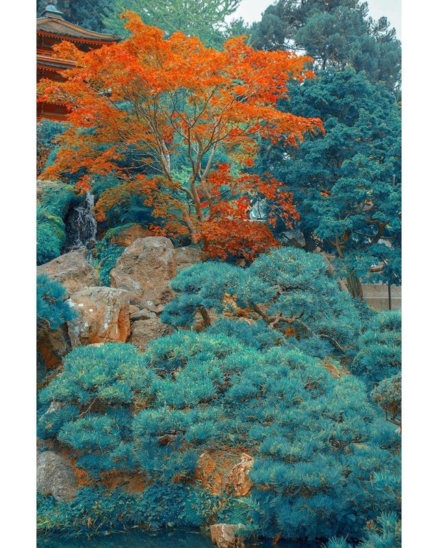 Талановита фотограф показує світ у неймовірних кольорах - фото 258340