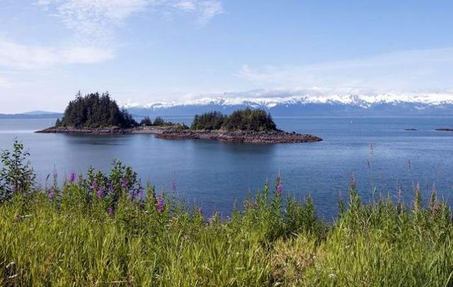 Дика природа Аляски у чаруючих знімках - фото 252967