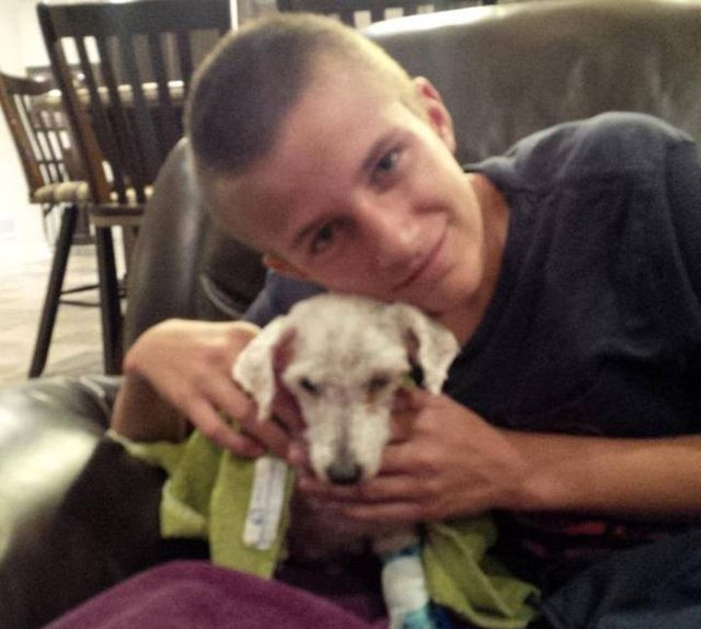 Цього песика не впізнати! Приклад того, на що здатні любов і турбота- фото 257441