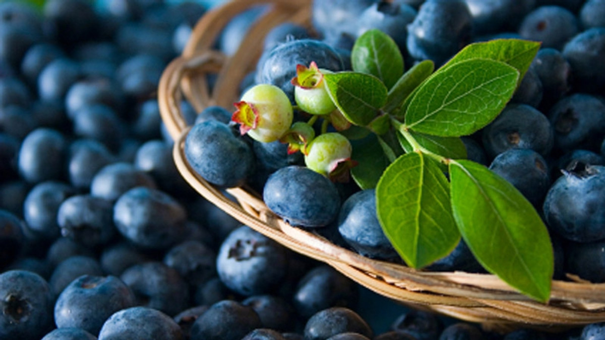 Вживання фруктів позитивно впливає на здоров'я в цілому - фото 1