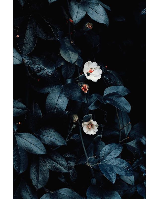 Талановита фотограф показує світ у неймовірних кольорах - фото 258332