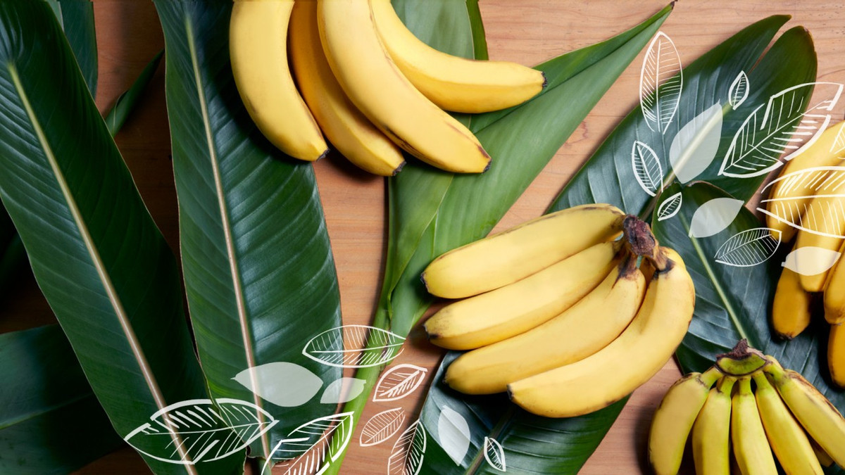 Науковці пояснили, що впливає на користь бананів - фото 1