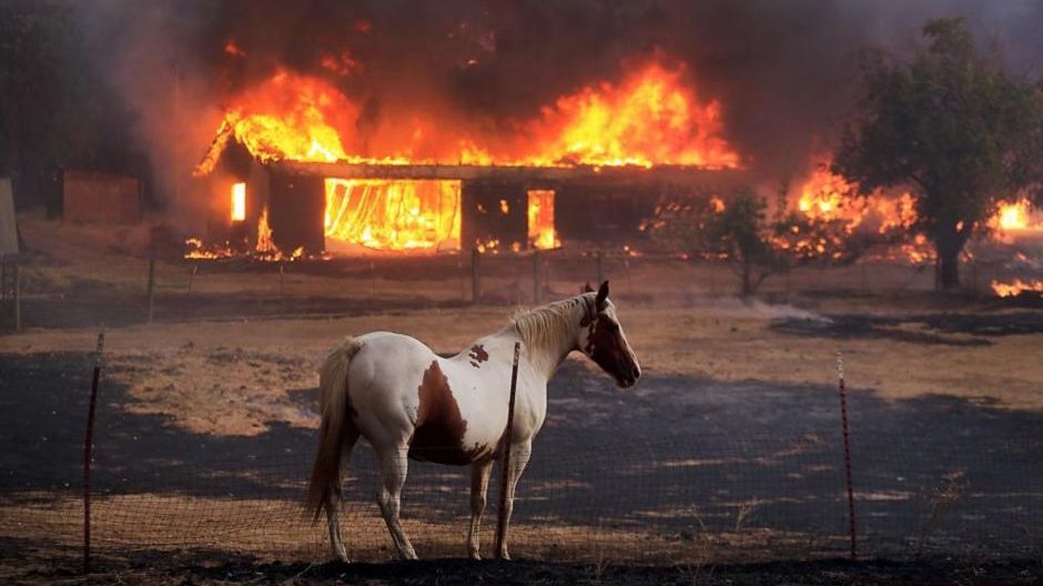 NASA оприлюднило фото лісових пожеж у Каліфорнії