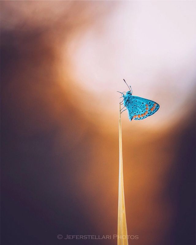 Чарівна природа з незвичайних ракурсів: атмосферні фото - фото 257116