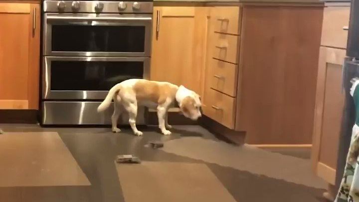 Скрін з відео - фото 1