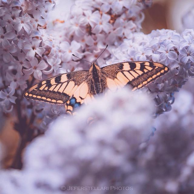 Чарівна природа з незвичайних ракурсів: атмосферні фото - фото 257113