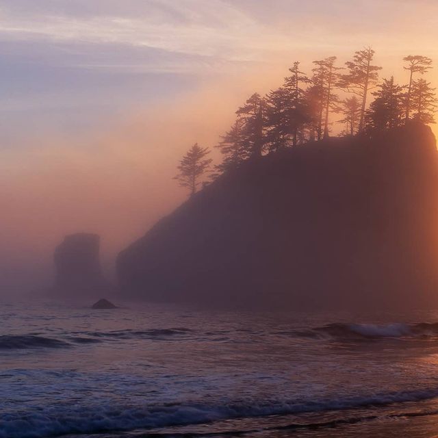 Національний парк Олімпік у США в полоні туману: казкові фото - фото 251910