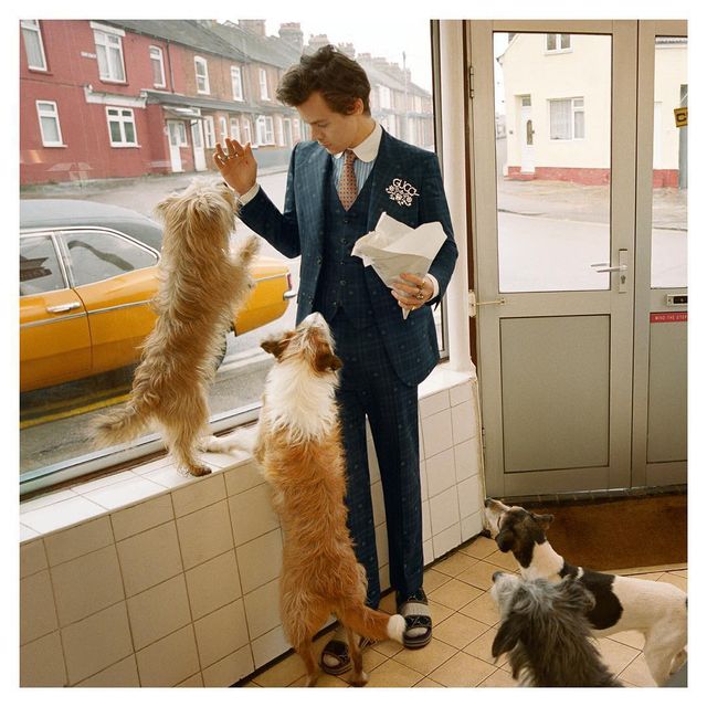 Колишній Кендалл Дженнер знявся в рекламі Gucci - фото 252713