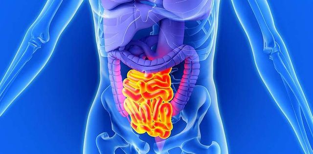 Вчені знайшли в тілі людини автономний другий мозок - фото 252248